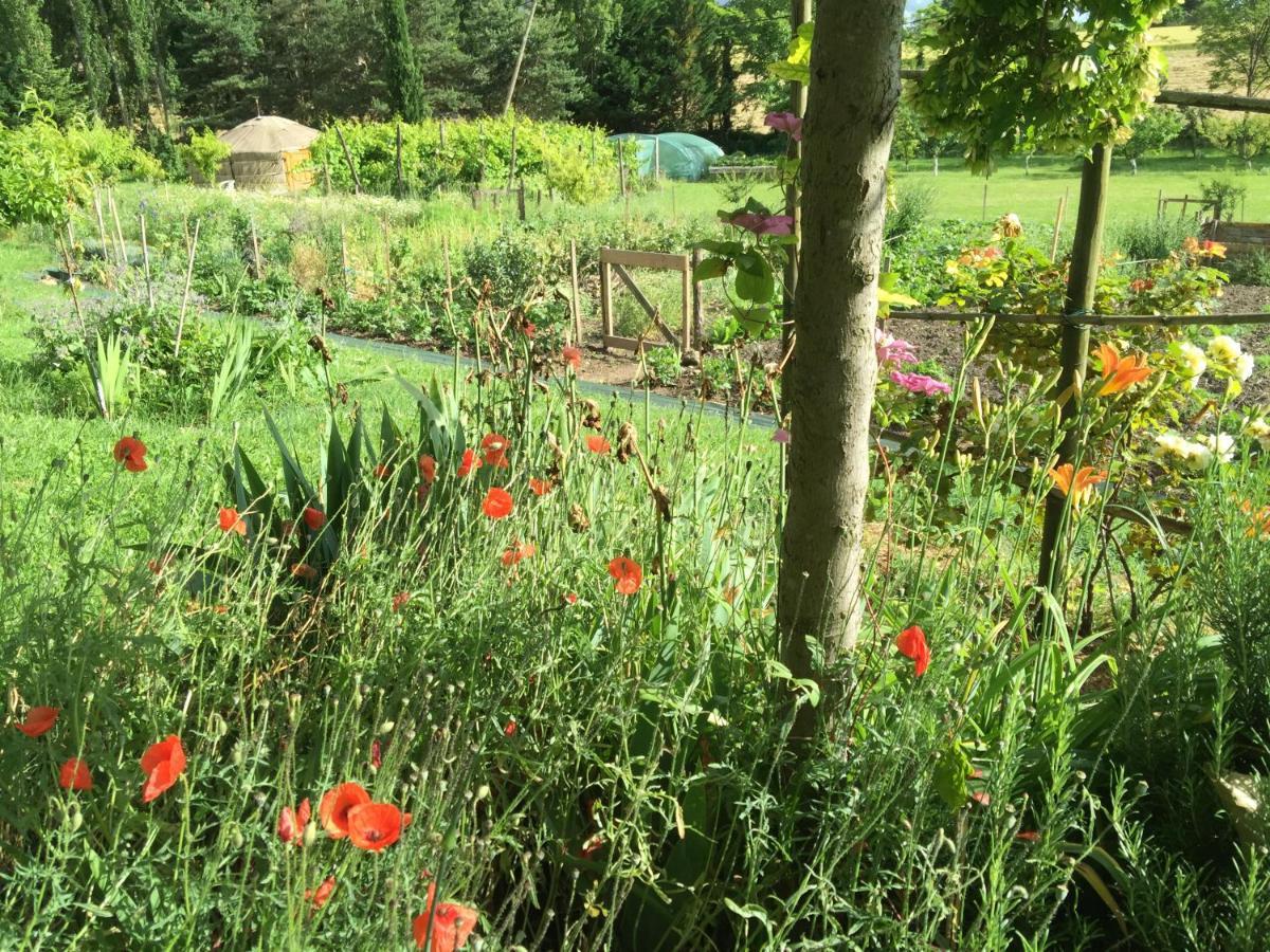 La Source, Vegetarian Guest House Chabeuil Екстериор снимка