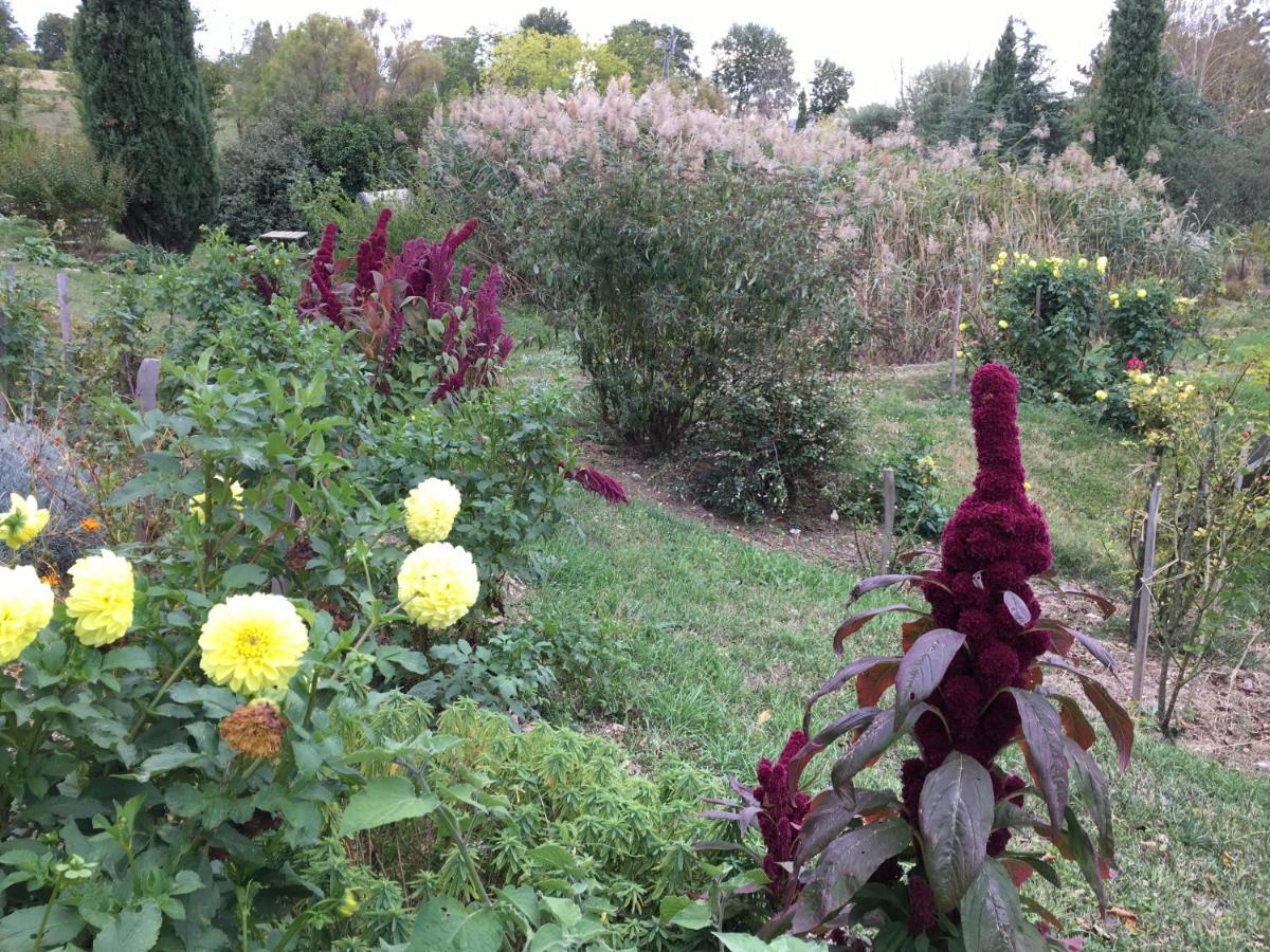 La Source, Vegetarian Guest House Chabeuil Екстериор снимка
