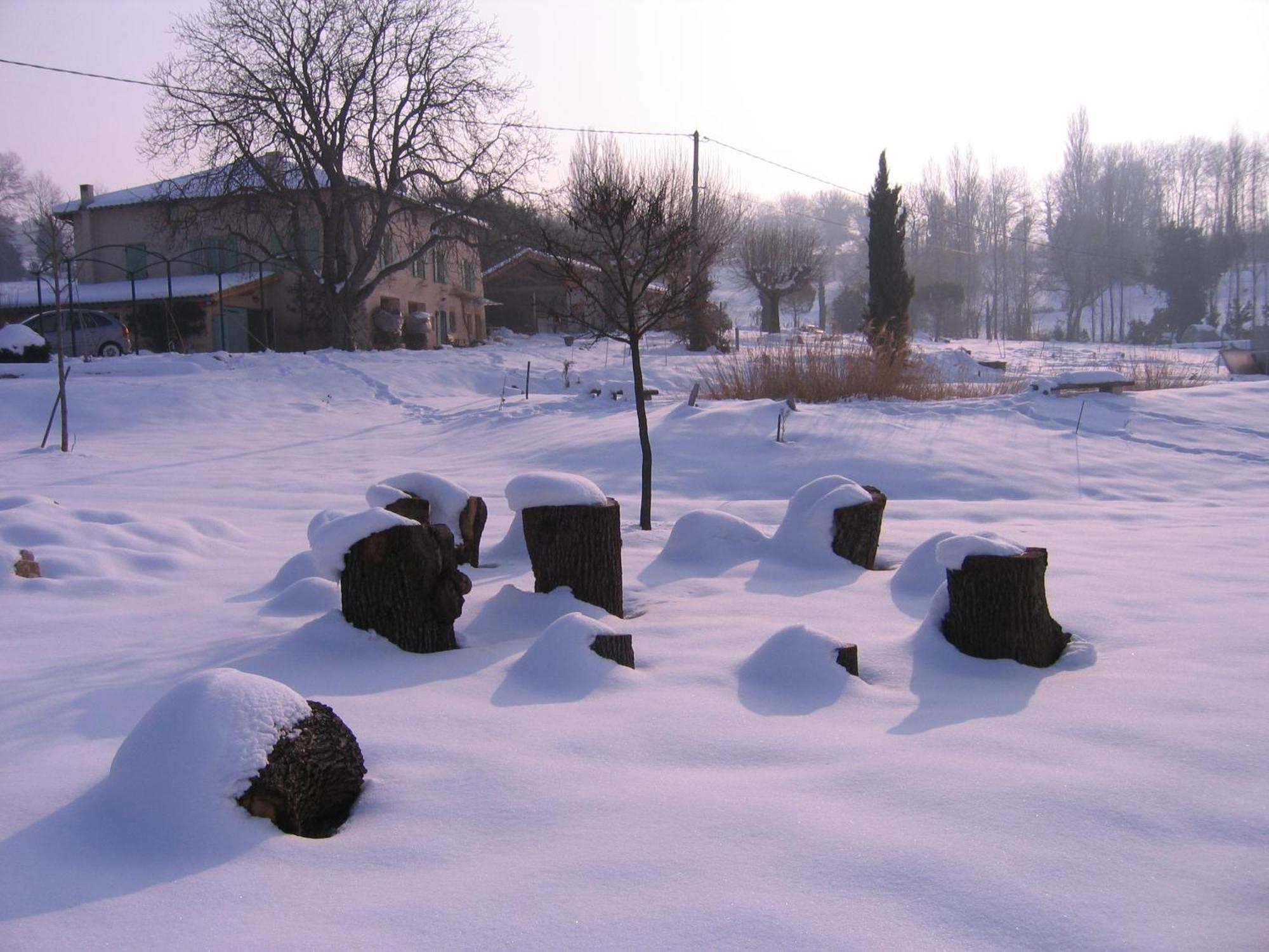 La Source, Vegetarian Guest House Chabeuil Екстериор снимка