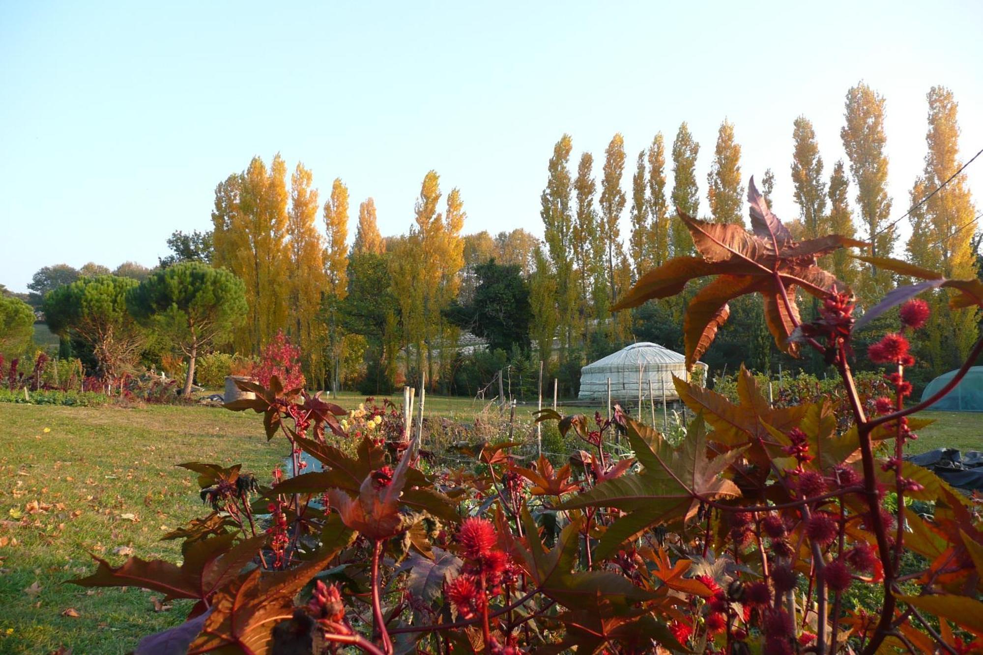 La Source, Vegetarian Guest House Chabeuil Екстериор снимка