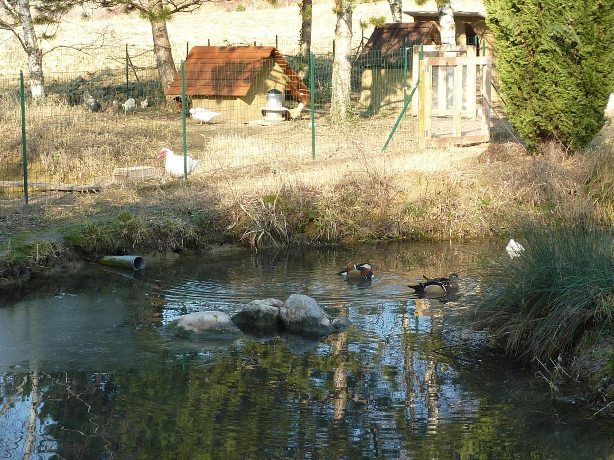 La Source, Vegetarian Guest House Chabeuil Екстериор снимка
