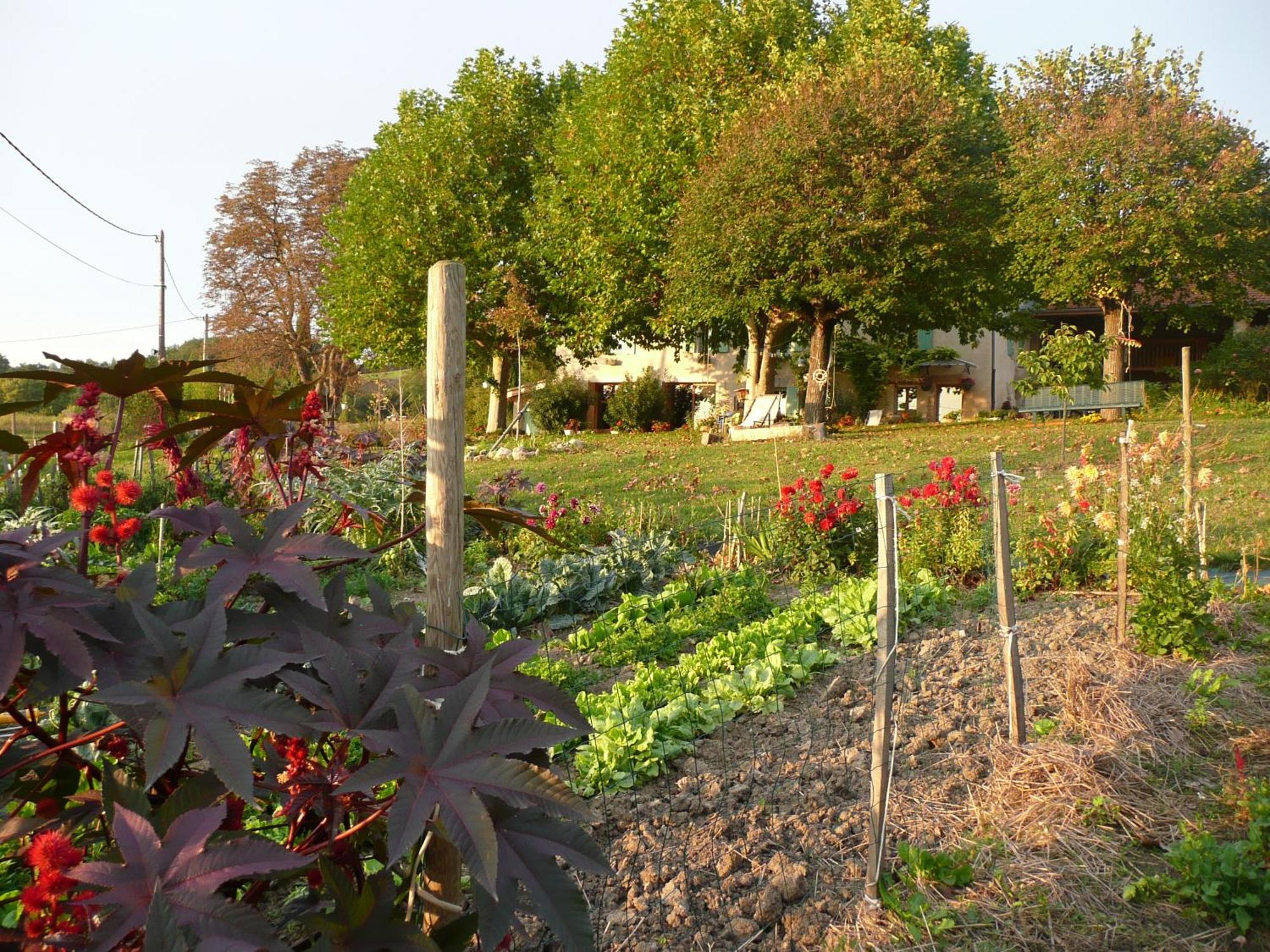 La Source, Vegetarian Guest House Chabeuil Екстериор снимка